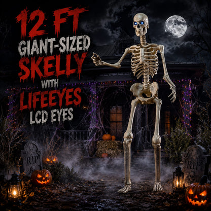 12ft Giant Skelly Skeleton Halloween Animatronic – Full Body Front View on White Background with LCD LifeEyes & Stand | Starlight Distribution
