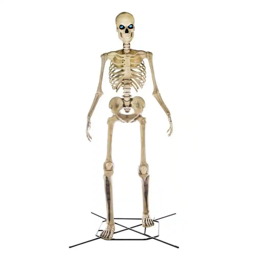 12ft Giant Skelly Skeleton Halloween Animatronic – Full Body Product Shot on White, Cream Bone Frame with Metal Stand | Starlight Distribution
