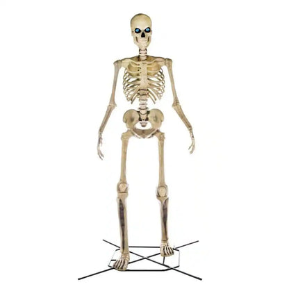 12ft Giant Skelly Skeleton Halloween Animatronic – Full Body Product Shot on White, Cream Bone Frame with Metal Stand | Starlight Distribution
