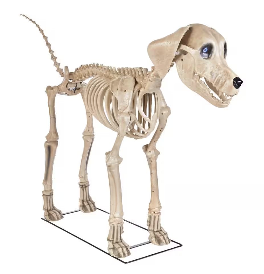 Giant 7ft Skelly's Dog Halloween Prop – 3/4 Angle Product Shot on White, Bone Frame & LCD Eye Detail | Starlight Distribution
