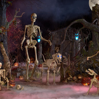Giant 7ft Skelly's Dog Halloween Prop – Outdoor Halloween Scene with 12ft Skeleton & Posable Jaw Detail | Starlight Distribution
